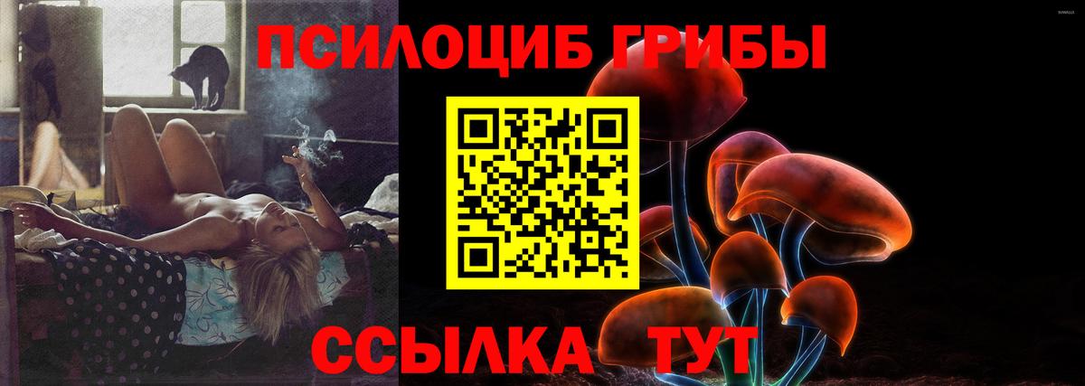 Псилоцибиновые грибы мухоморы Томск